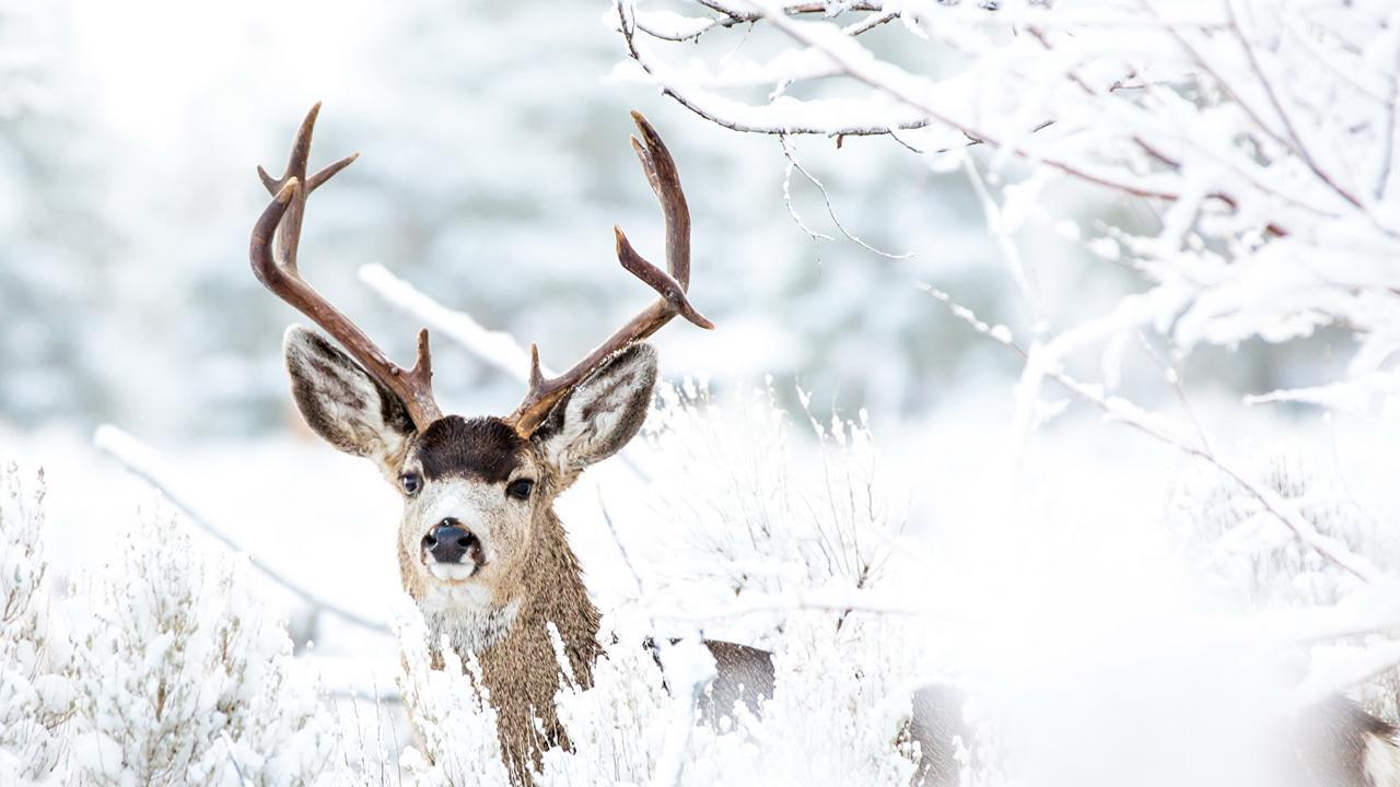 オーバータウエルン Hubertus Alpine Livingアパートホテル エクステリア 写真